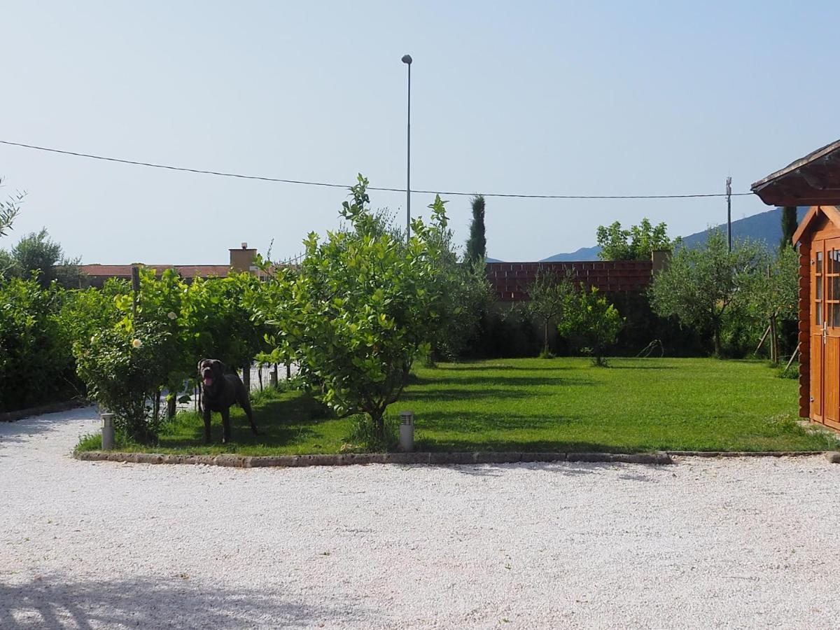 La Casa Di Samarcanda Uliveto Terme Exteriör bild