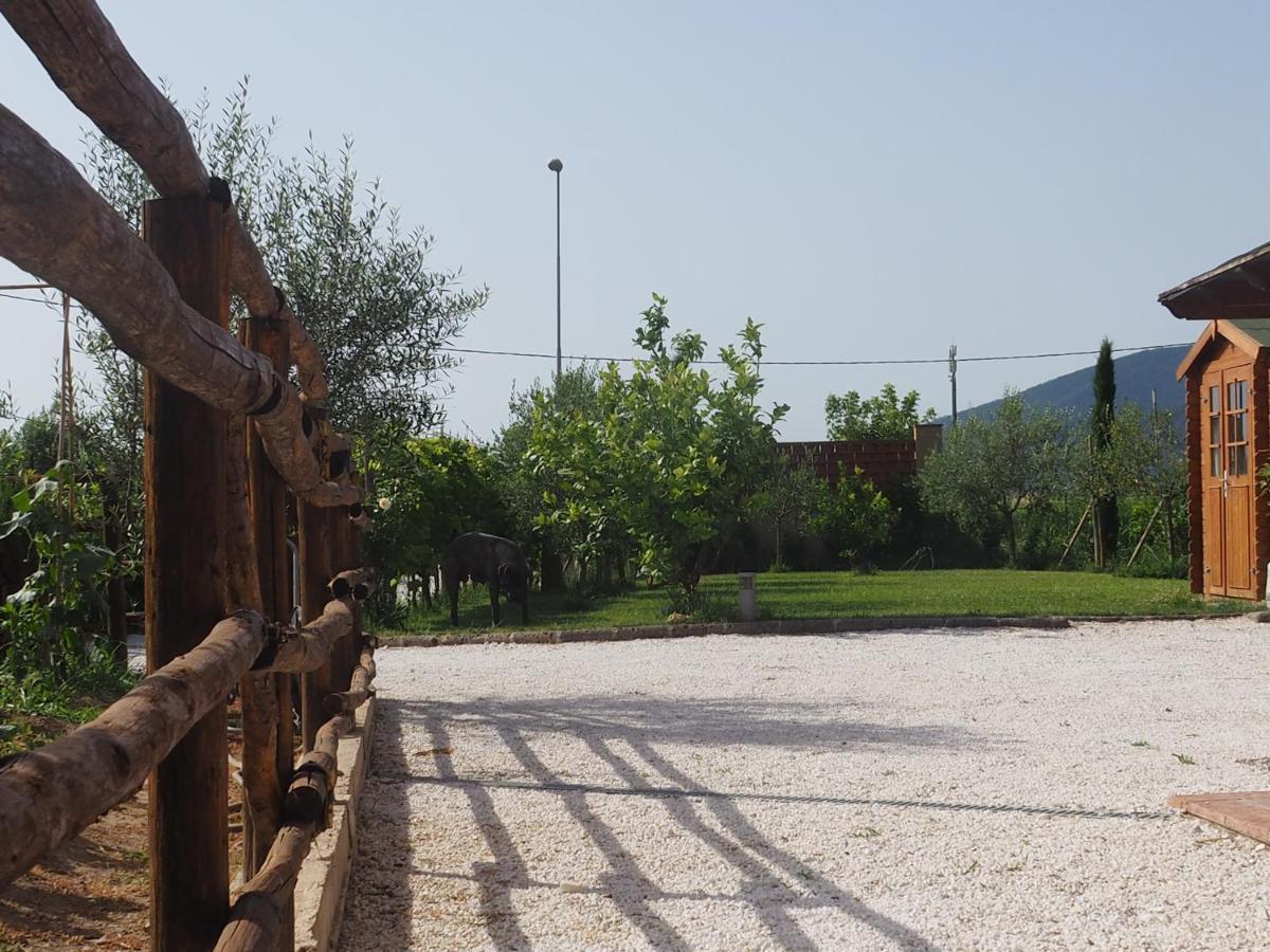 La Casa Di Samarcanda Uliveto Terme Exteriör bild