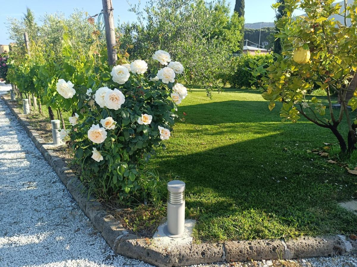 La Casa Di Samarcanda Uliveto Terme Exteriör bild